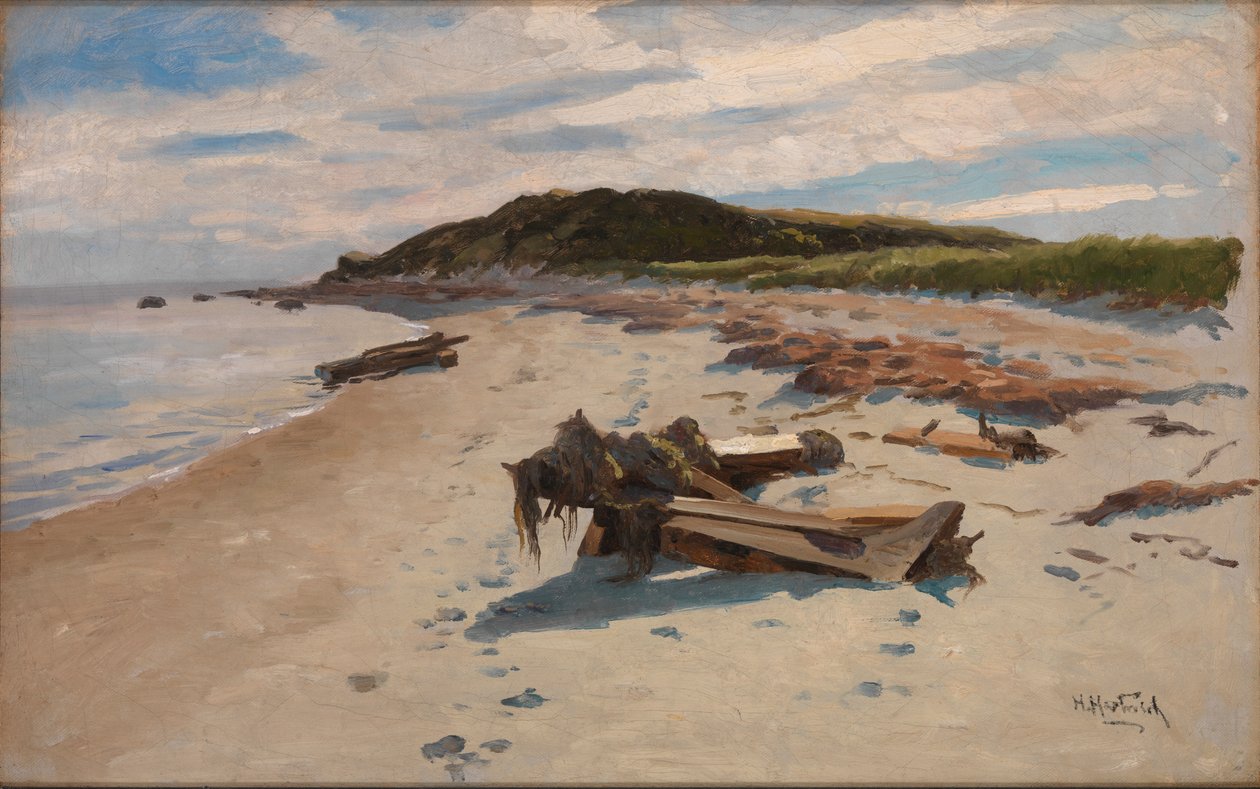 Cabo Cod, playa, 1894 de Herman Hartwich