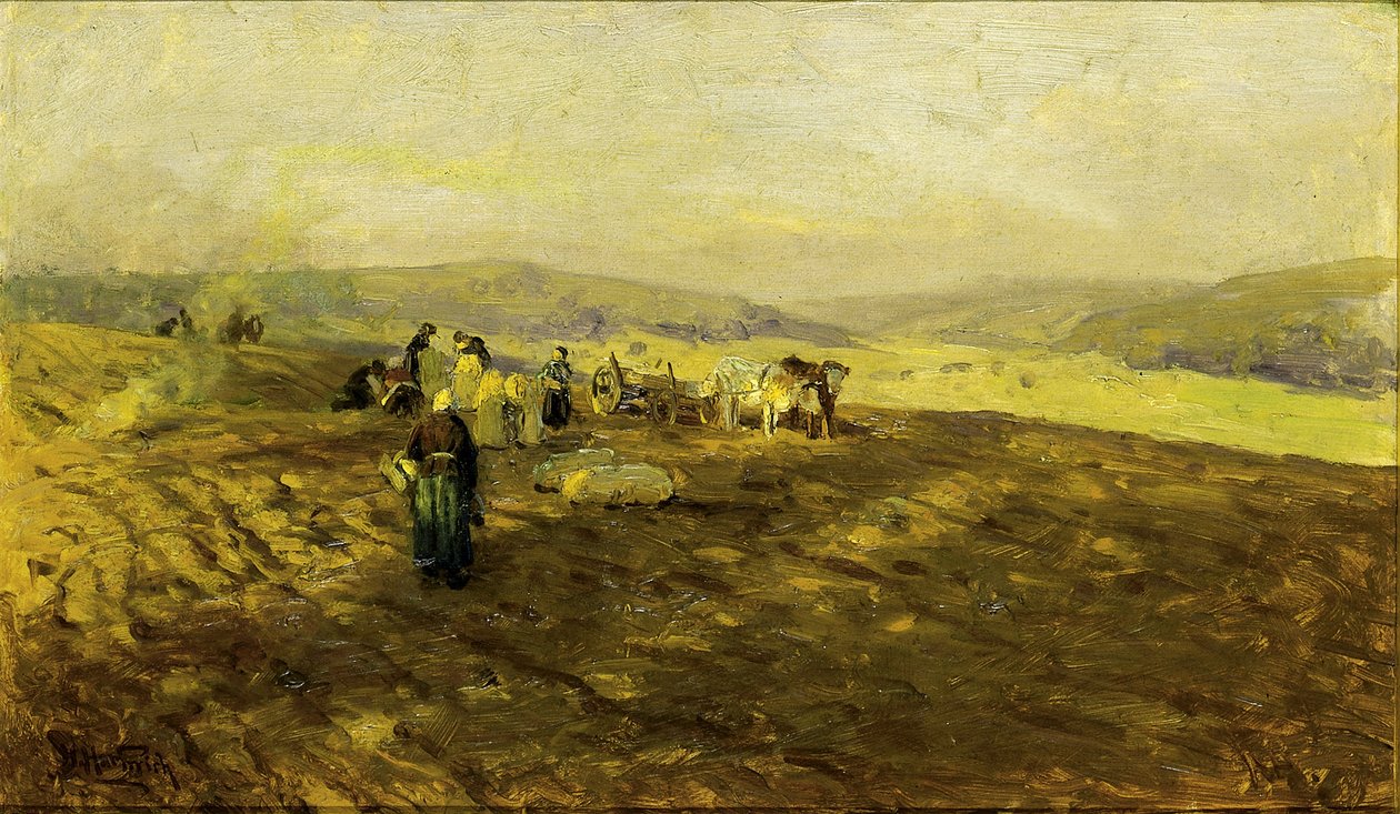 Espigadores de patatas de Herman Hartwich