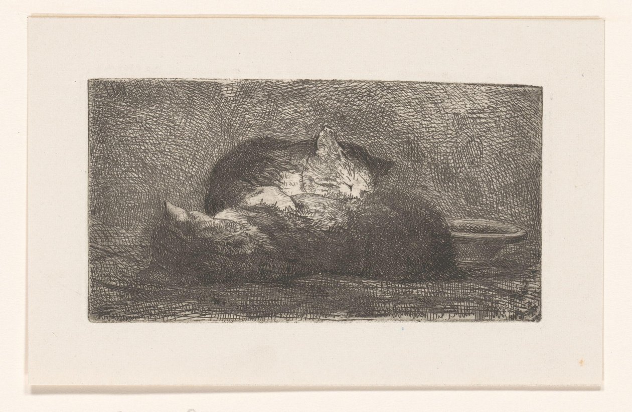 Dos gatos de Herman Johannes van der Weele