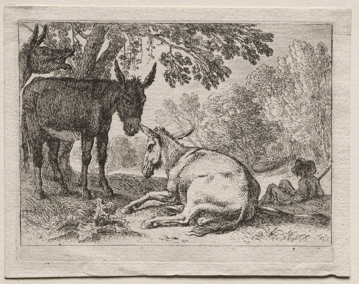 Burros de Herman van Swanevelt