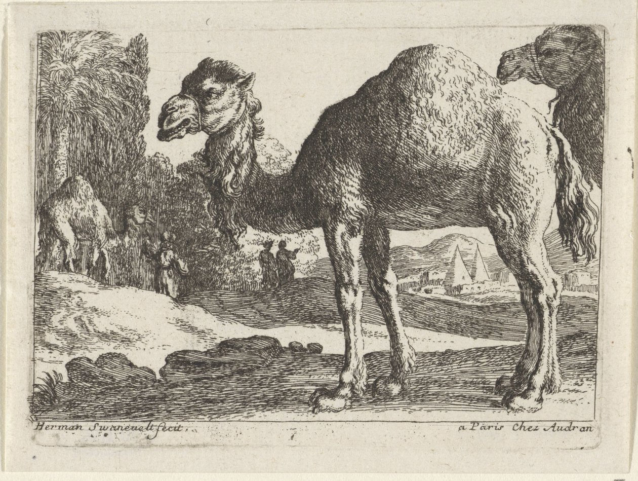 camellos Paisajes con animales (título de serie) de Herman van Swanevelt