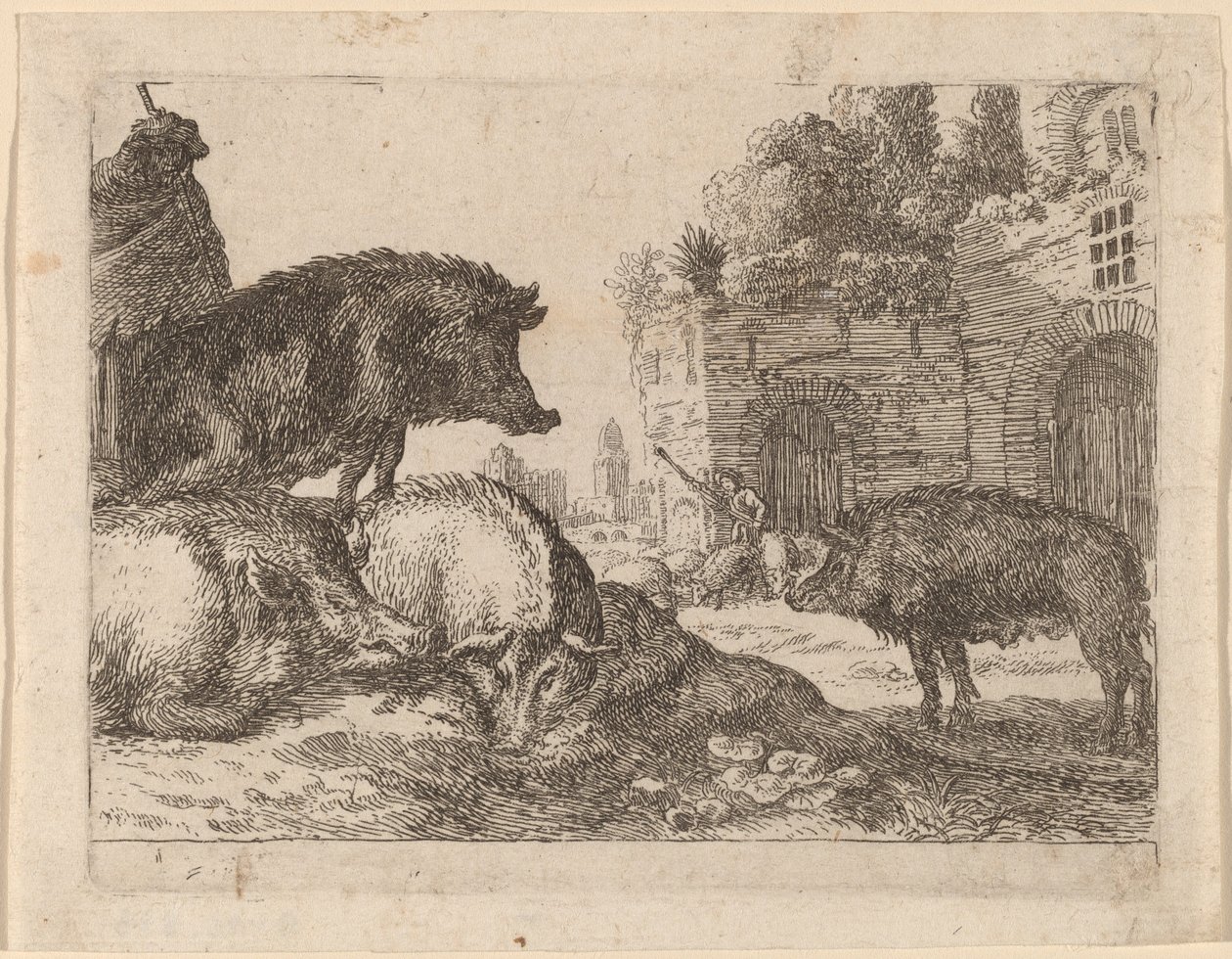 Cerdos de Herman van Swanevelt