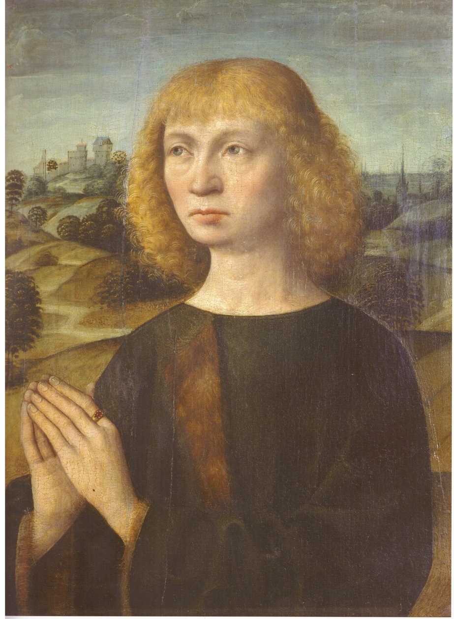Retrato de un joven de Hermen Rode
