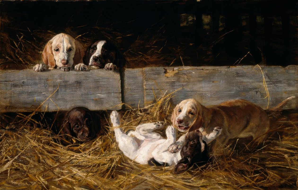 Cachorros jugando de Hermine Biedermann Arendt