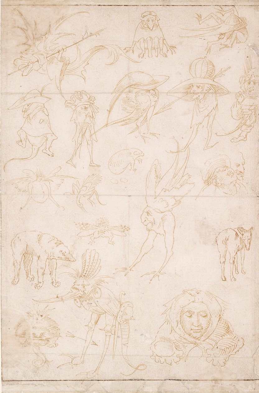 Estudios grotescos, c. 1500-1520 de Hieronymus Bosch