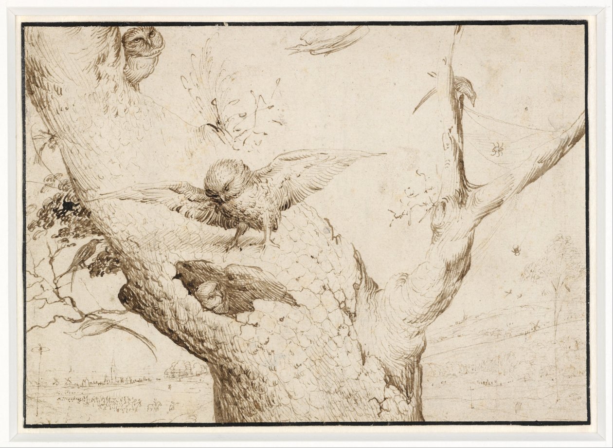 El nido del búho de Hieronymus Bosch