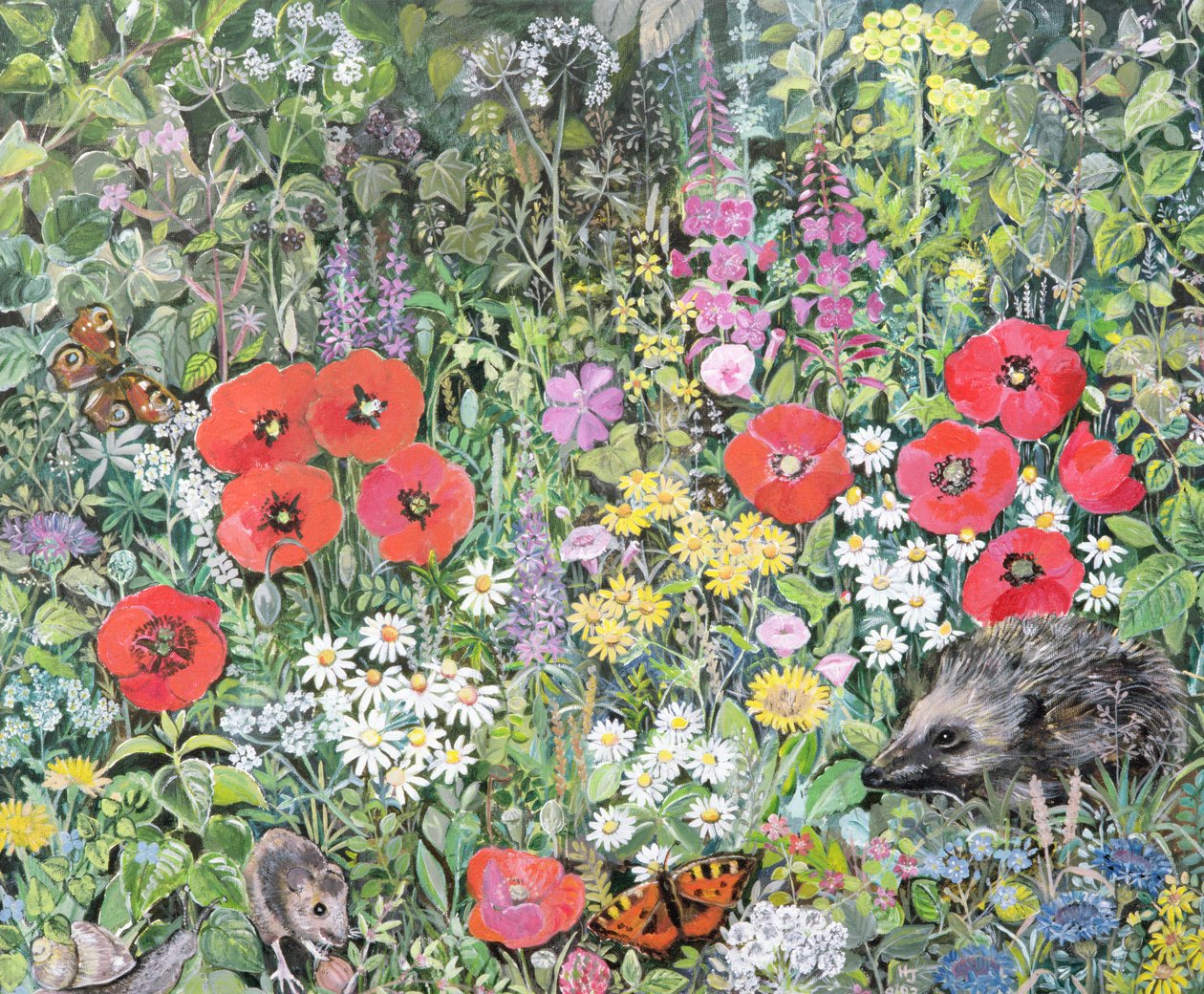 Erizo entre las flores de Hilary Jones