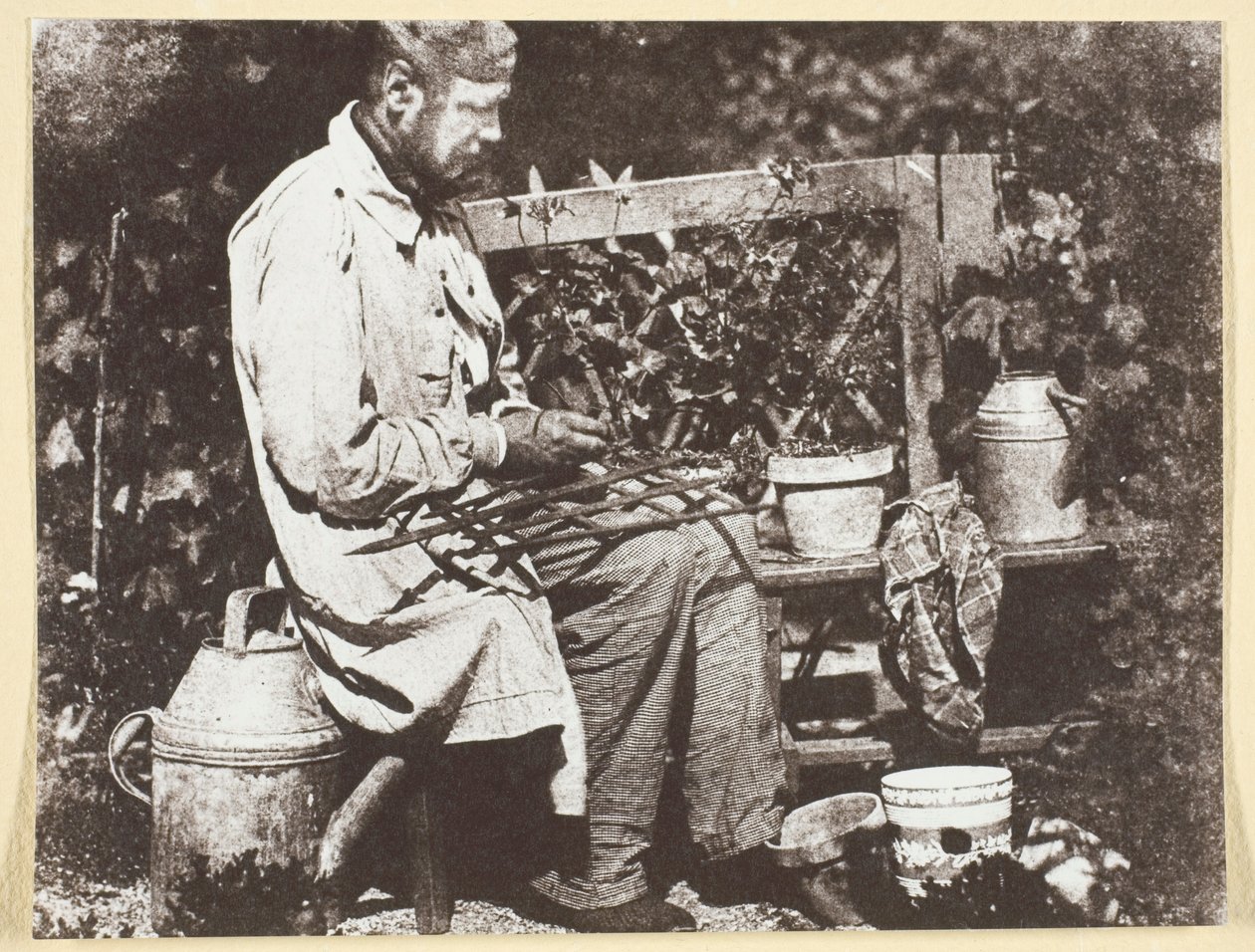 Bayard Jardinier de Hippolyte Bayard