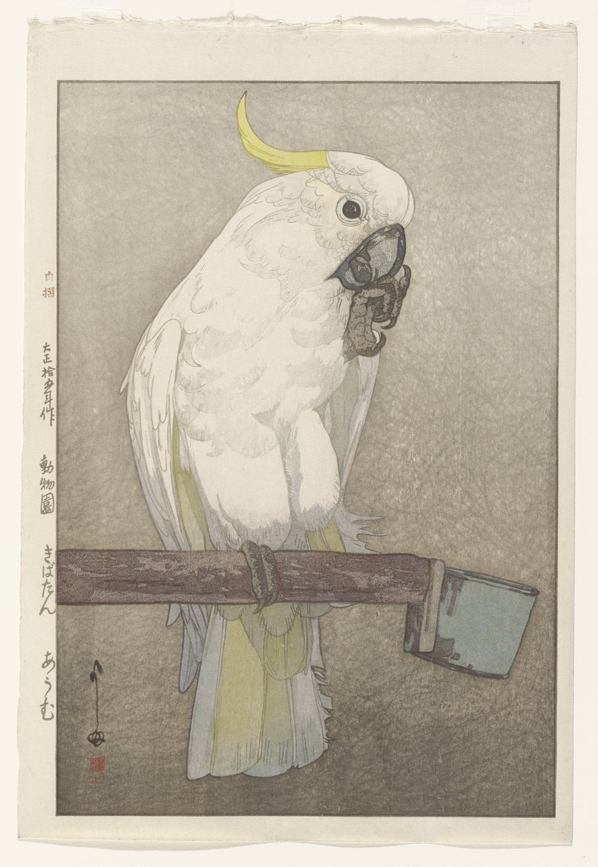 Cacatúa de cresta de azufre de Hiroshi Yoshida