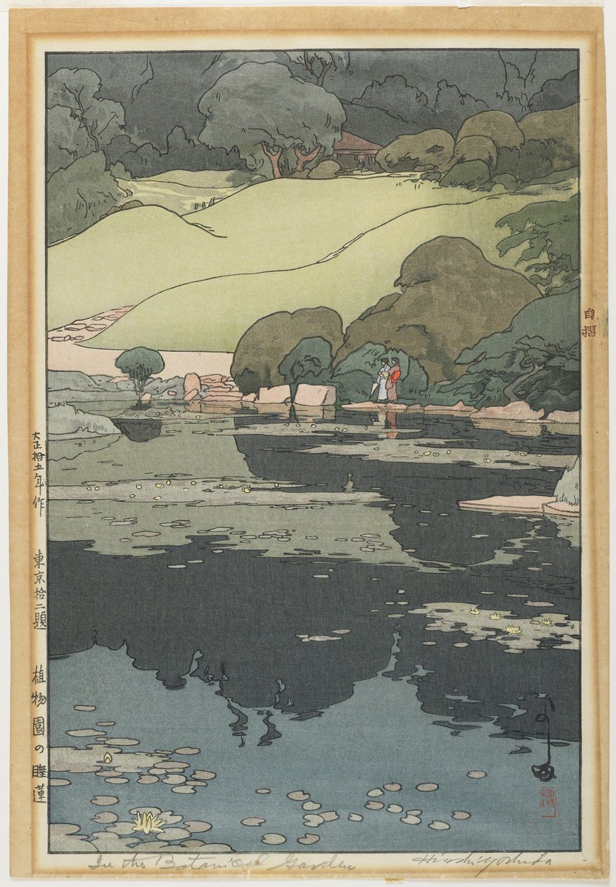 Lirios de agua en un jardín botánico de Hiroshi Yoshida