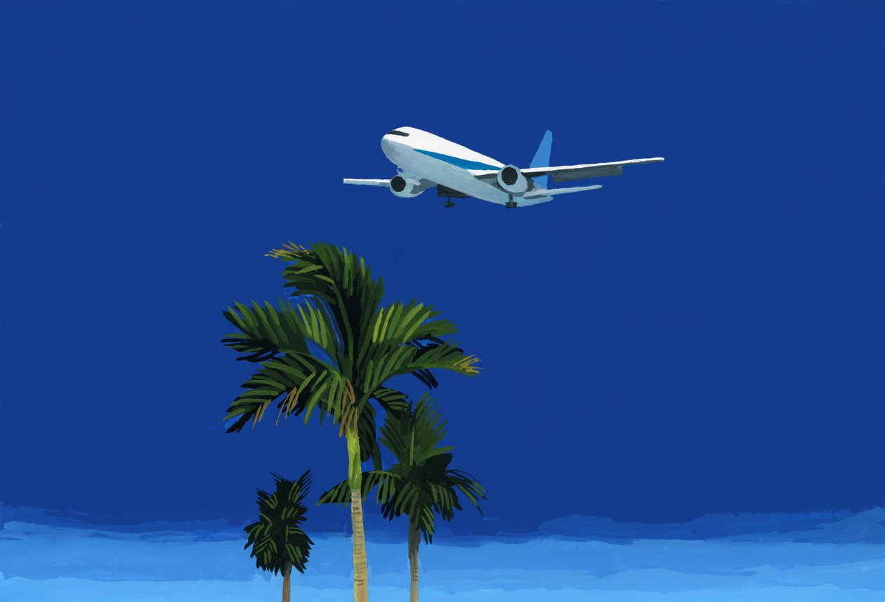 Avión y palmera de Hiroyuki Izutsu