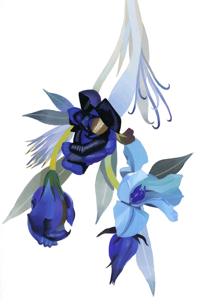 Flor dibujada con tono azul de Hiroyuki Izutsu