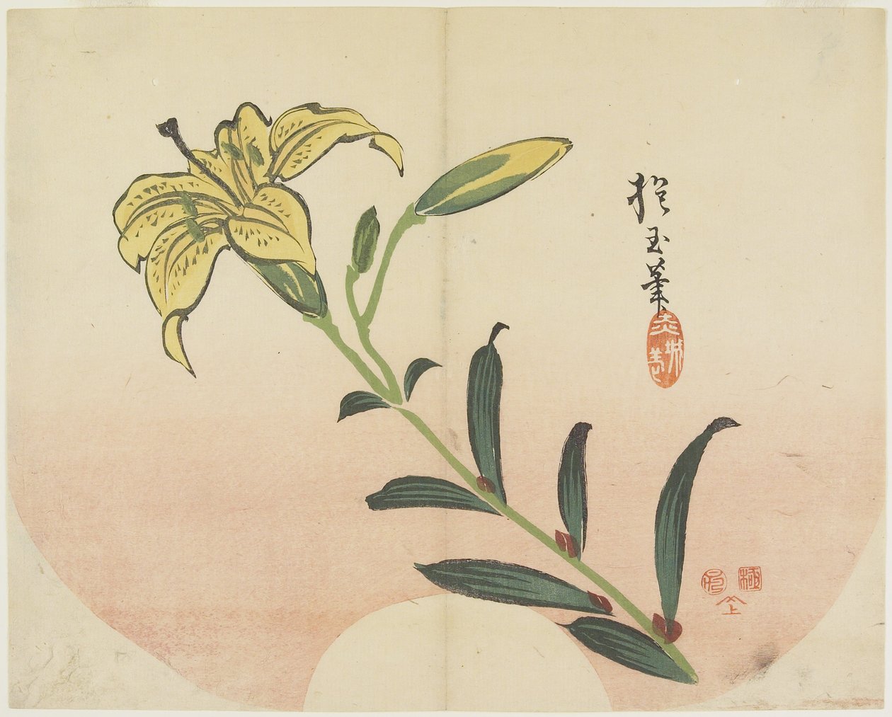 (Lirio), 1839 de Hogyoku