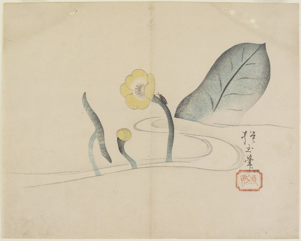 (Loto y un Escarabajo Dorado), c. 1830 de Hogyoku