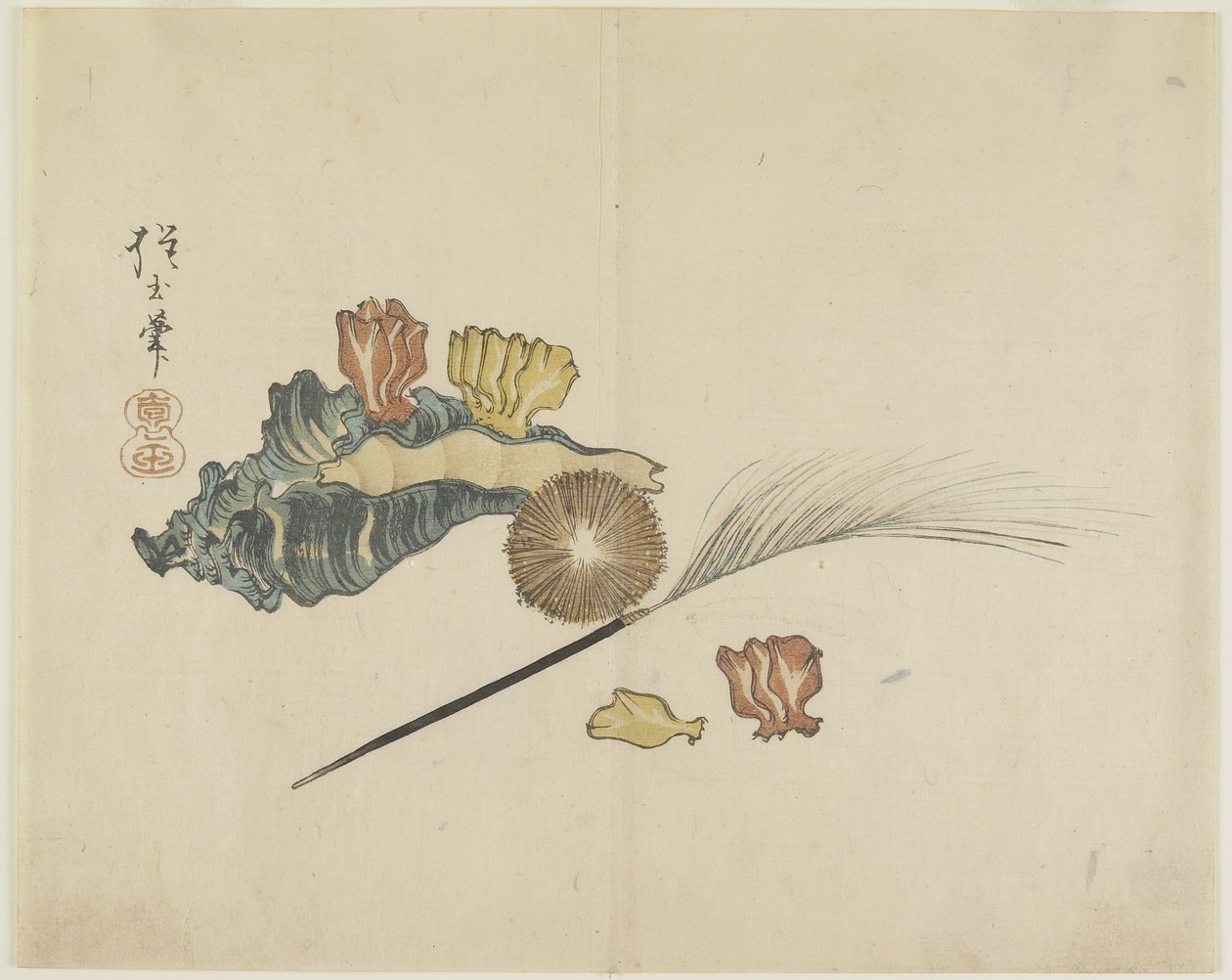 (Conchas), c. 1830 de Hogyoku