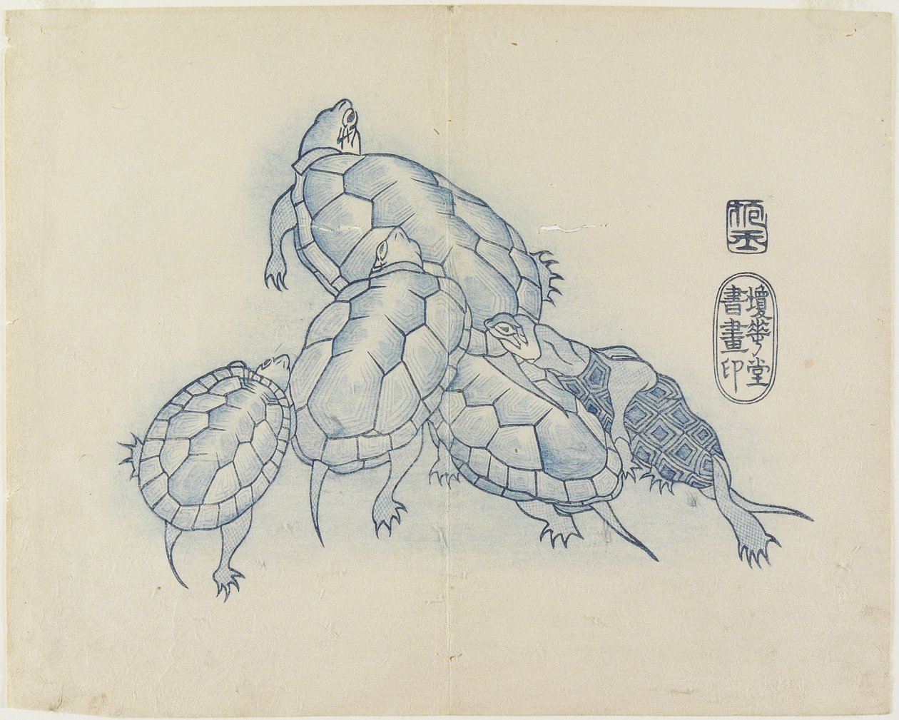 (Tortugas), c. 1830 de Hogyoku