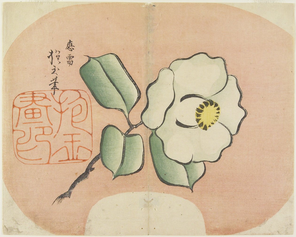 (Camellia Blanca) de Hogyoku
