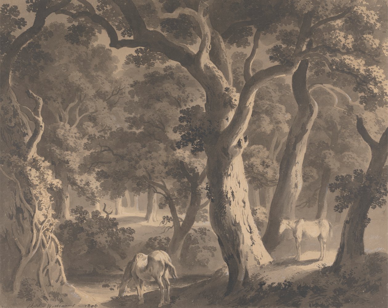 Bosque de Wychwood de Hugh William Grecian Williams