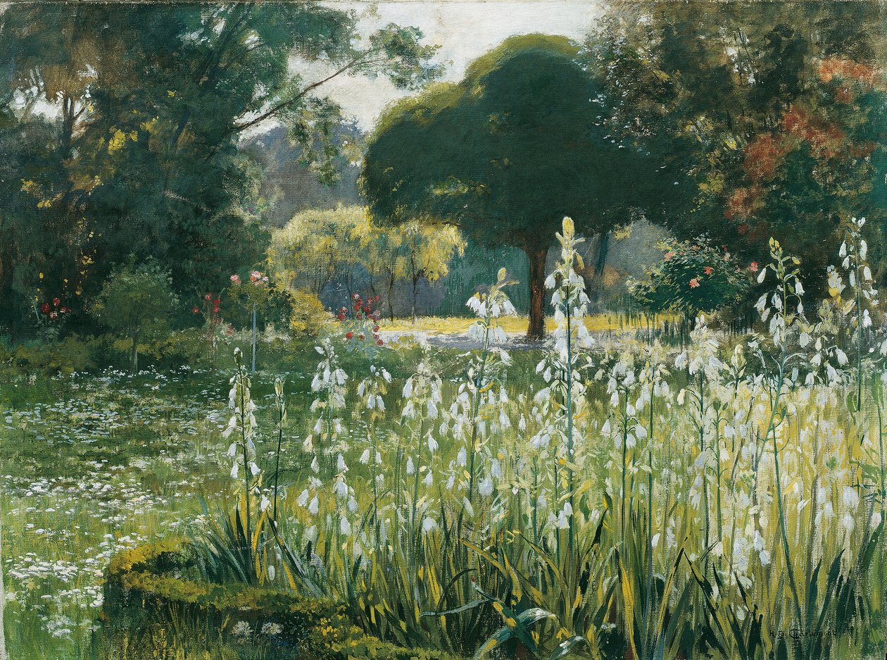 Jacintos de verano (Galtonia) de Hugo Charlemont