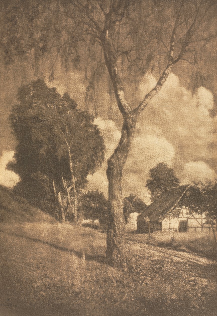 Camera Work: Pomeranian Motif de Hugo Henneberg