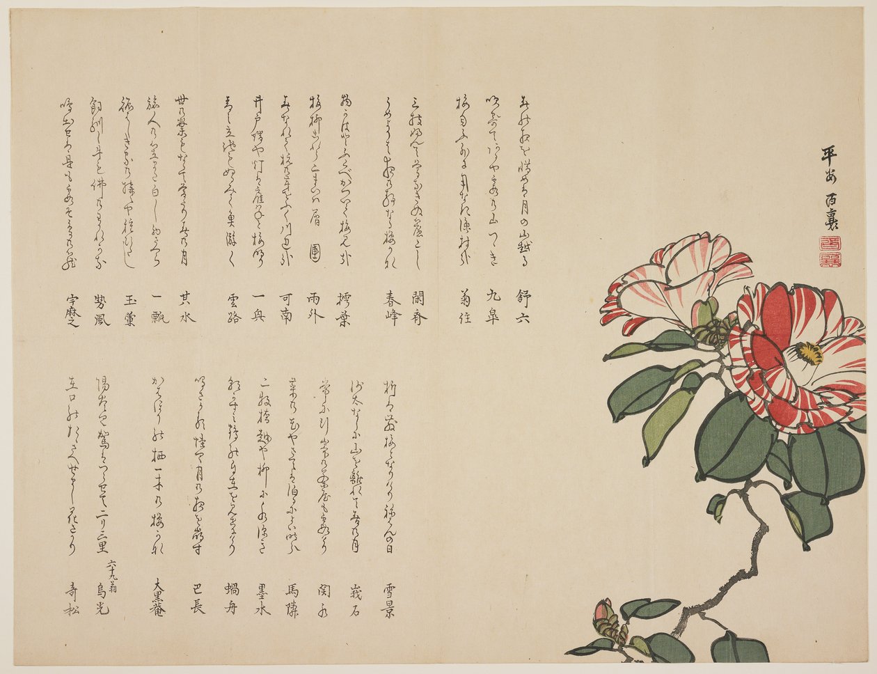 Camellia en flor, c.1818-1829 de Hyakuj