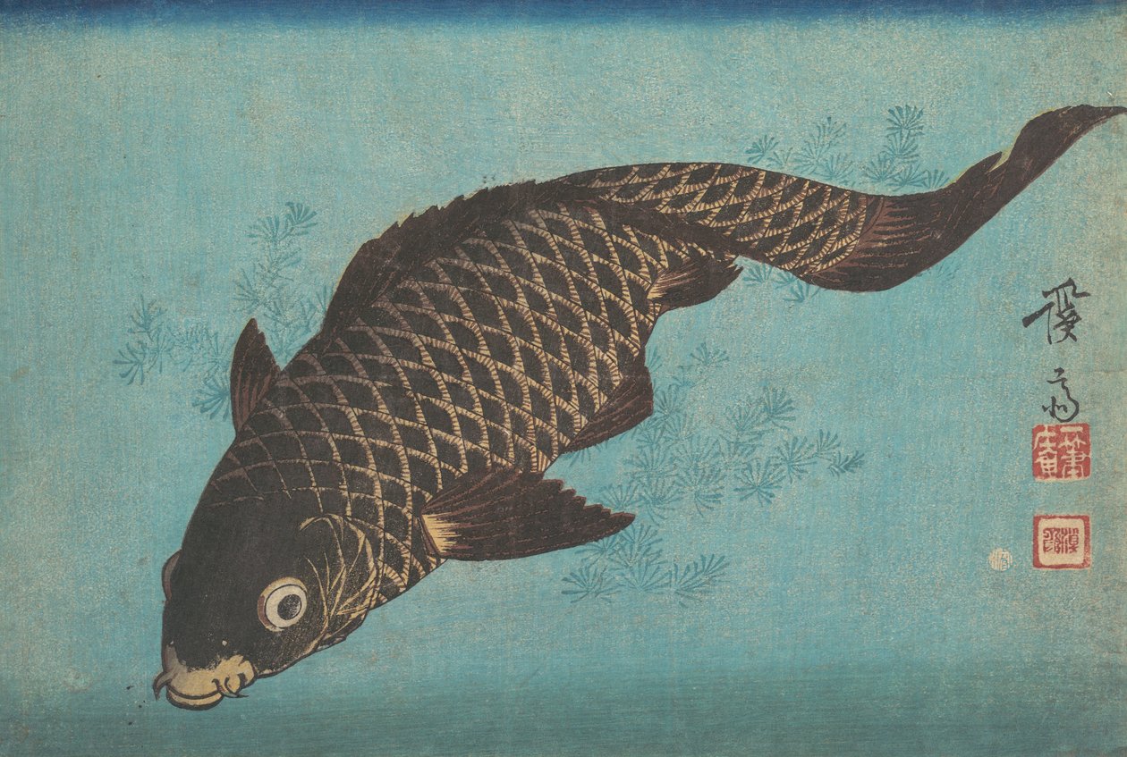 Koi, ca. 1842 de Ikeda Eisen