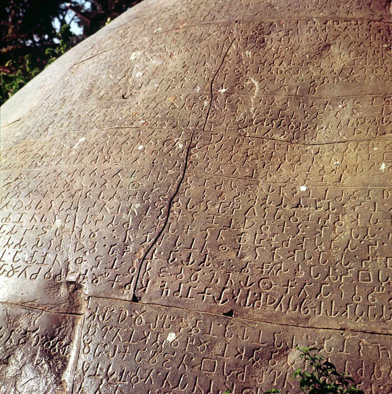 Copia de la Piedra del Emperador Ashoka (c.264-223 a.C.) (detalle) de Indian