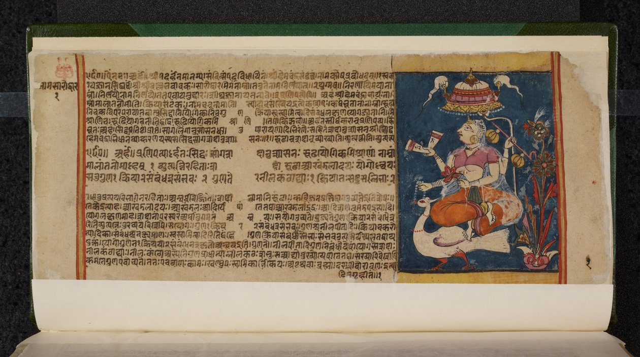 Folio manuscrito Abhidan Chintamani de Indian School