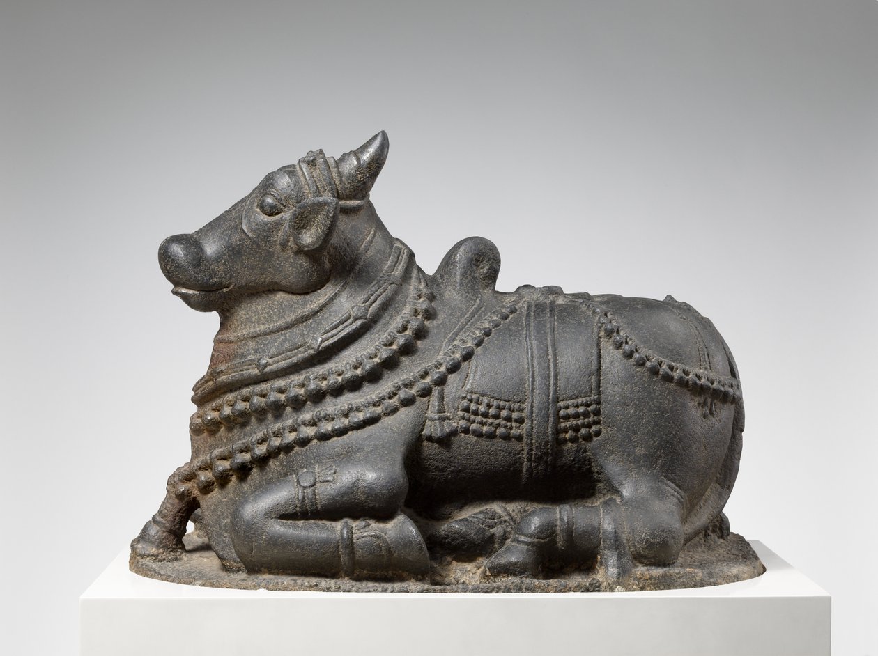 Nandi de Indian School