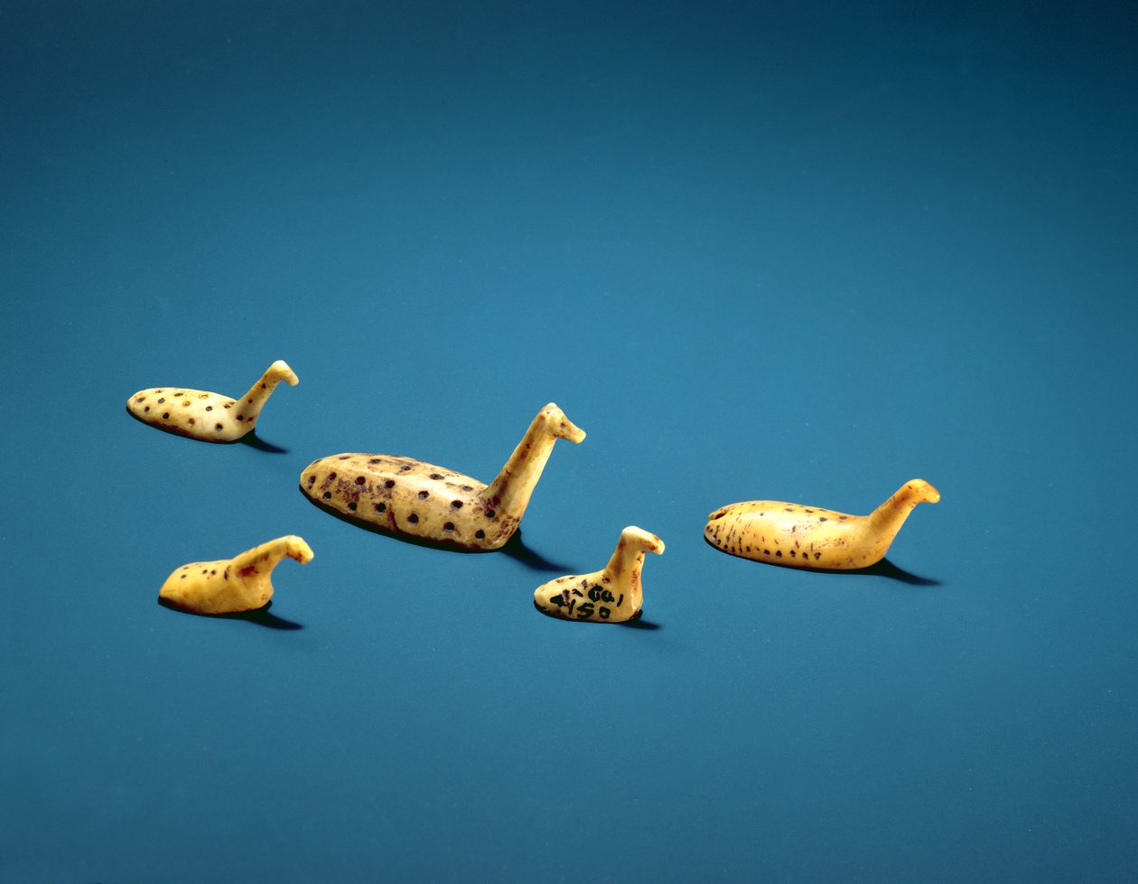Esculturas de aves costeras inuit (marfil) de Inuit School