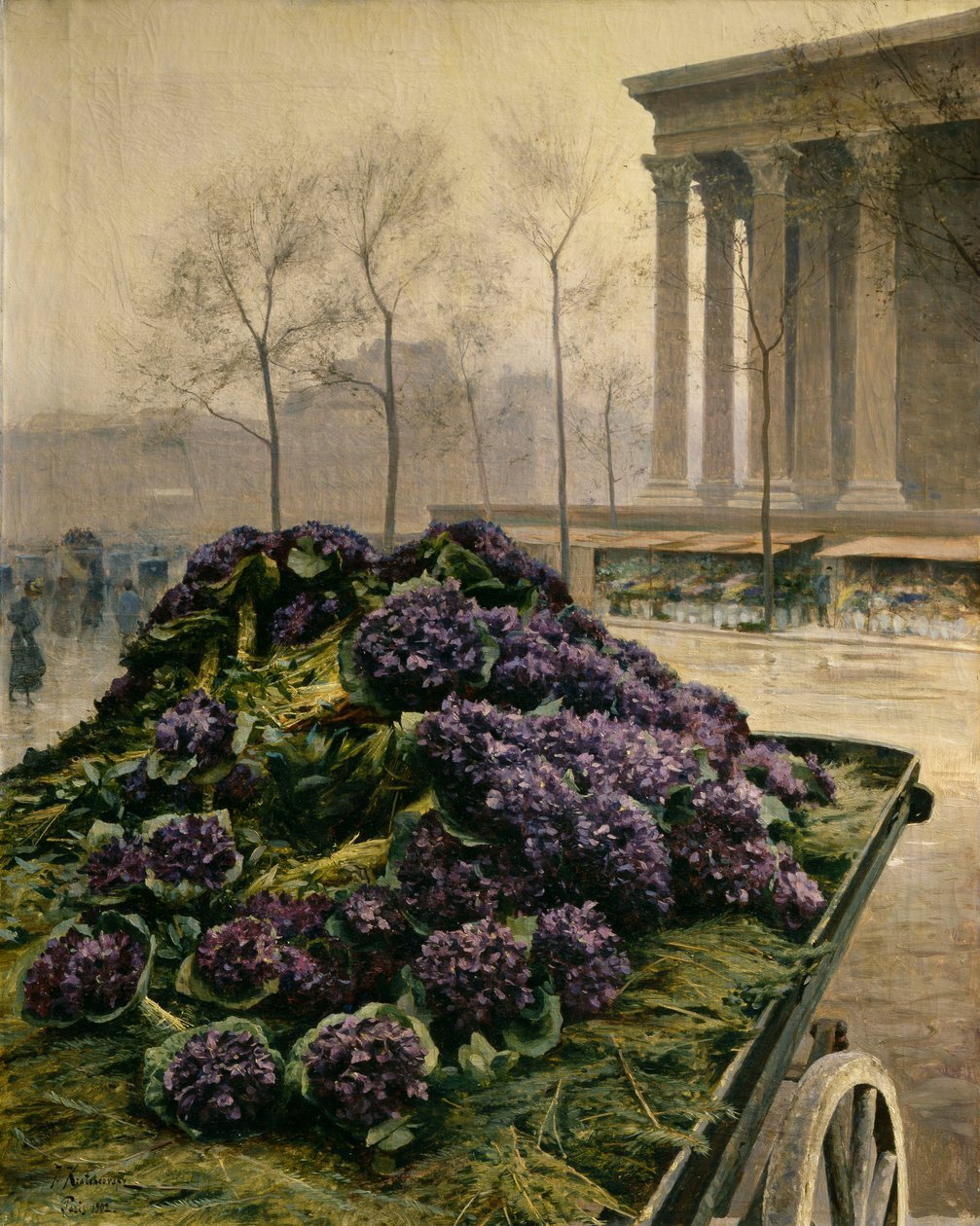 Violetas de Niza de Iosiph Evstafievich Krachkovsky