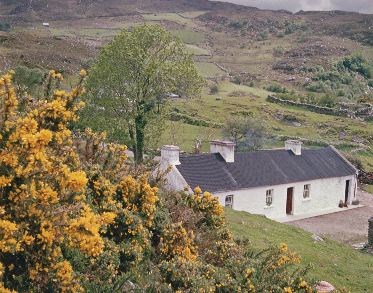 Cabaña en el condado de Kerry, Irlanda de Irish Photographer