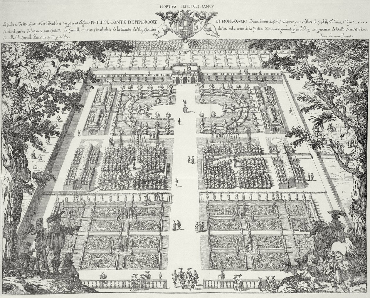 Diseño de jardín de 