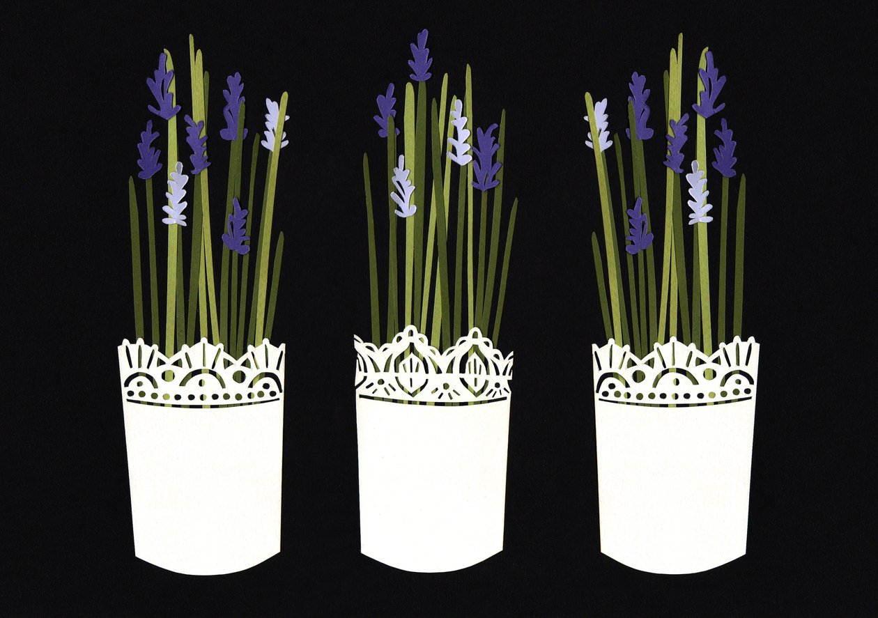 Macetas de lavanda, 2014 (papel) de Isobel Barber