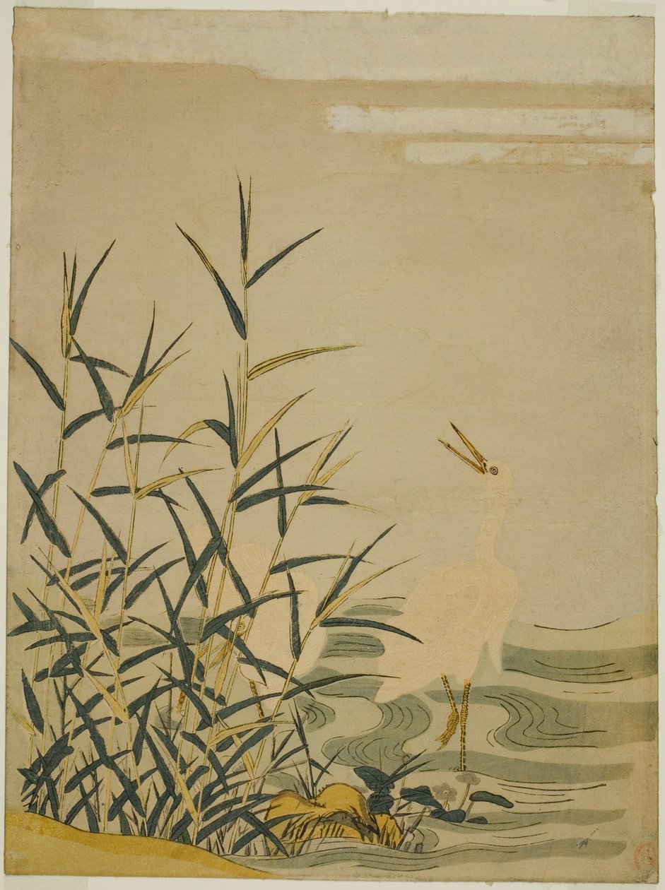 Garzas en los Juncos de Isoda Koryusai