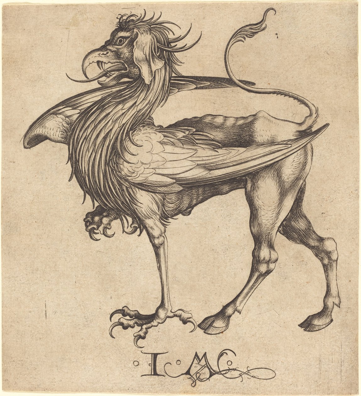 El grifo de Israhel van Meckenem after Martin Schongauer