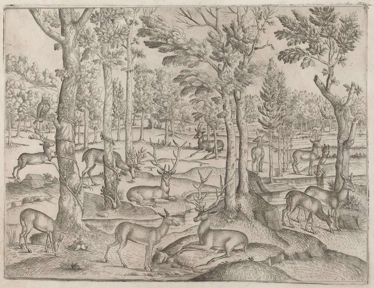 Ciervos en el bosque de Italian 16th Century