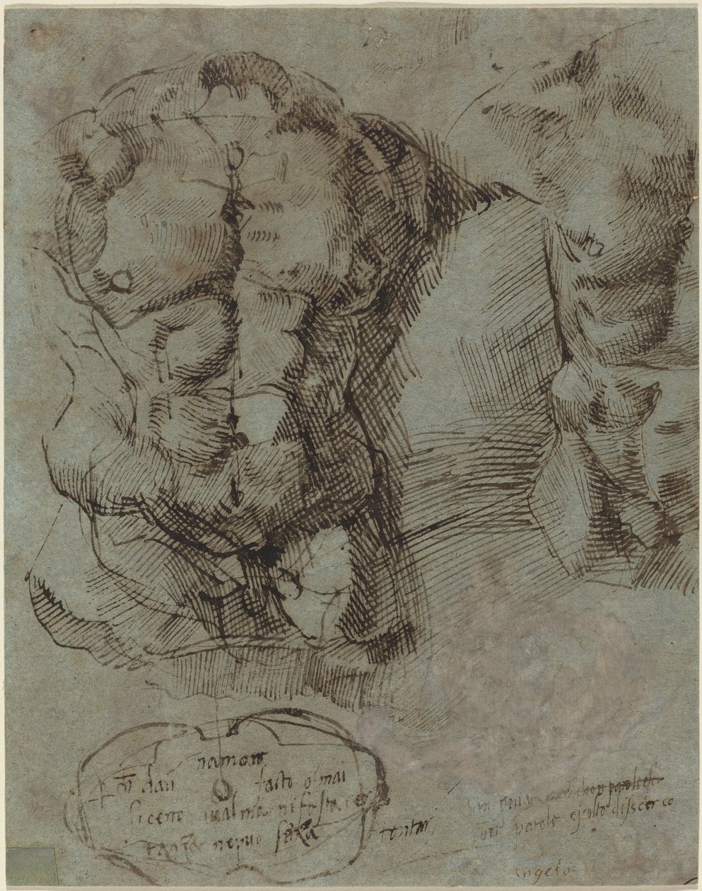 Estudios de un torso masculino de Italian 16th Century