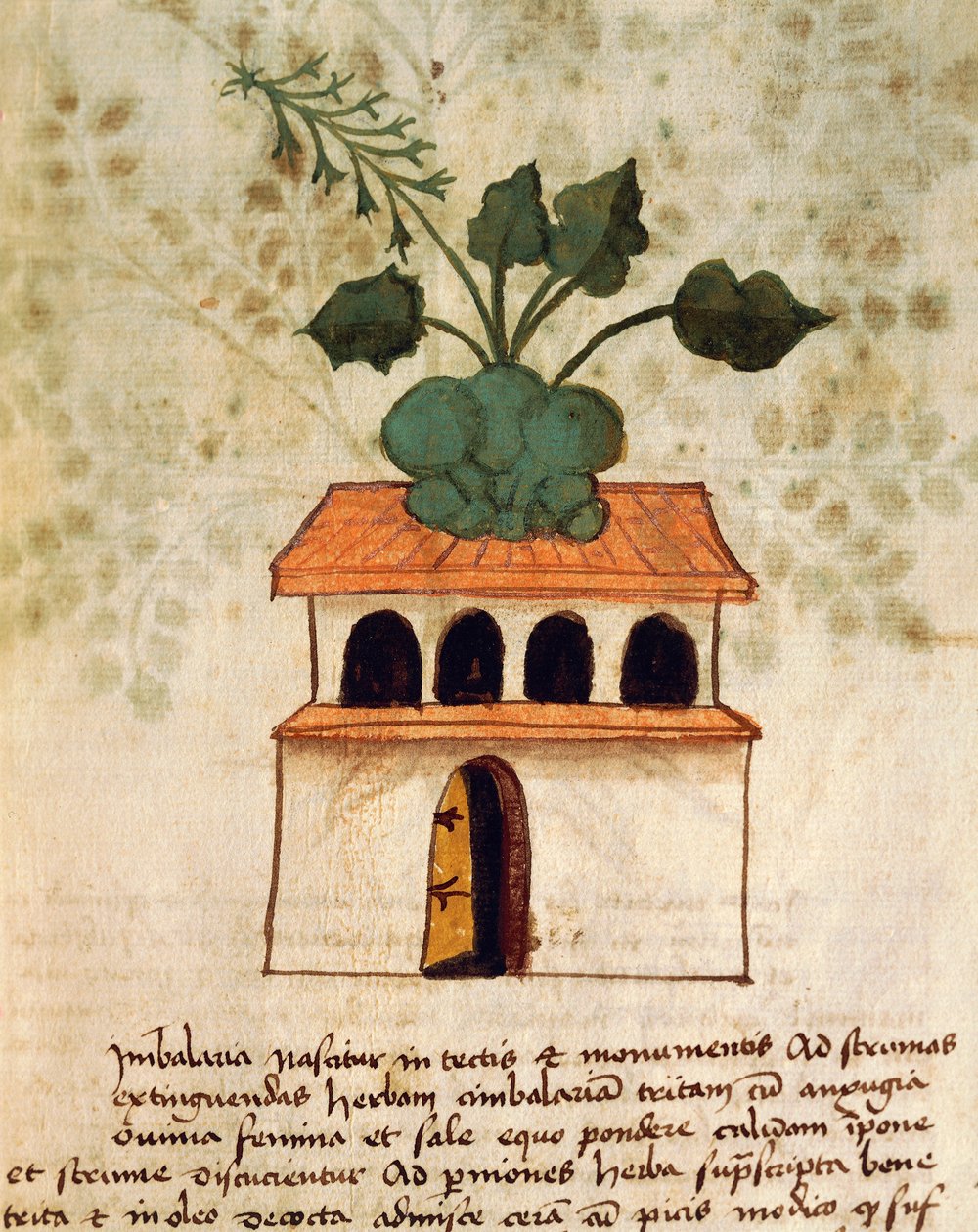 Jardín colgante de Italian School