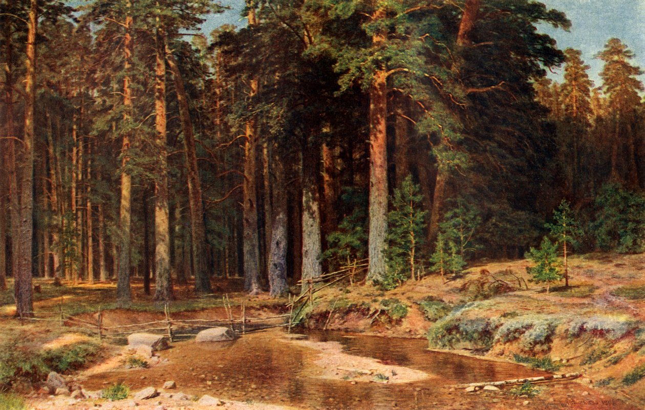 Un pinar, 1898, 1939 de Ivan Ivanovich Shishkin