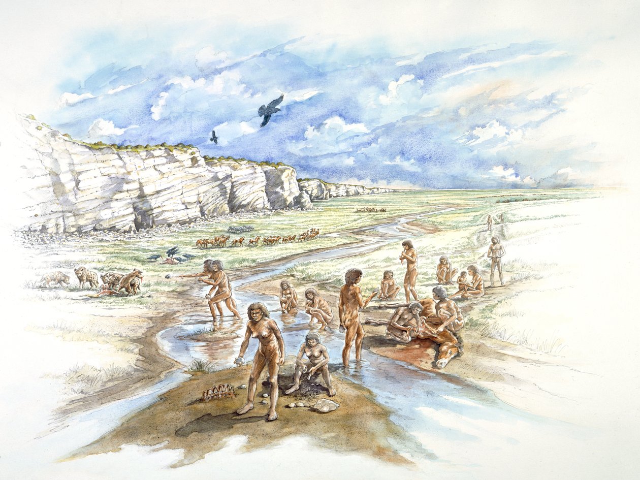 Cantera de Boxgrove, Prehistórico de Ivan Lapper