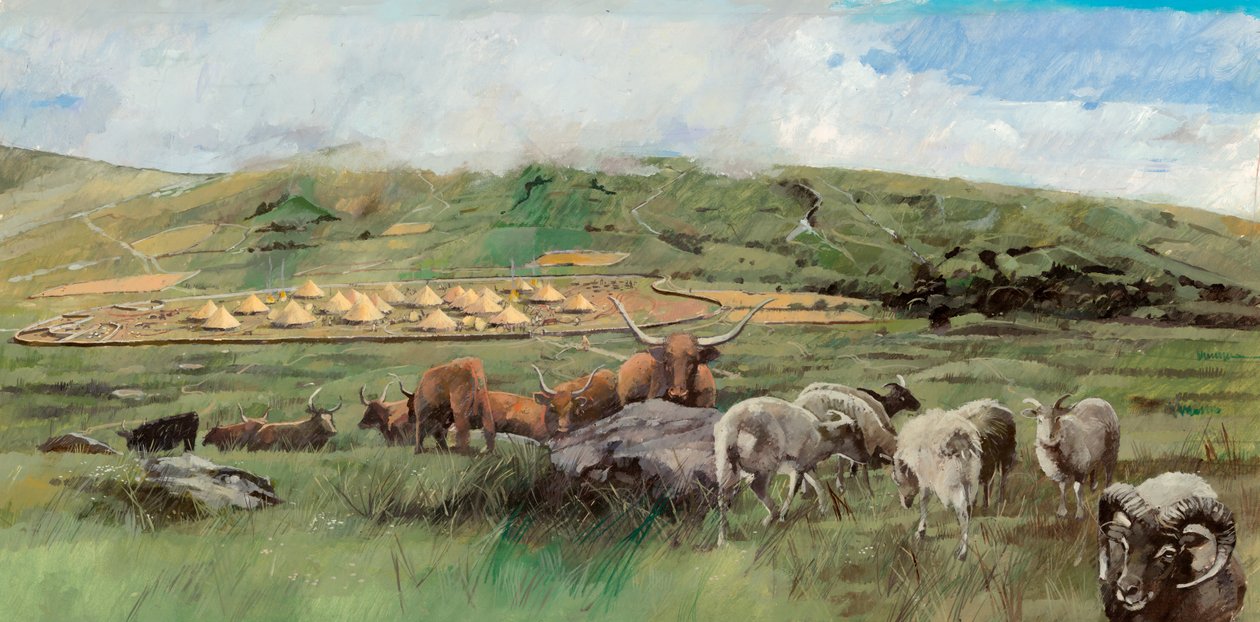 Grimspound, Edad del Bronce, c. 1990-2010 de Ivan Lapper