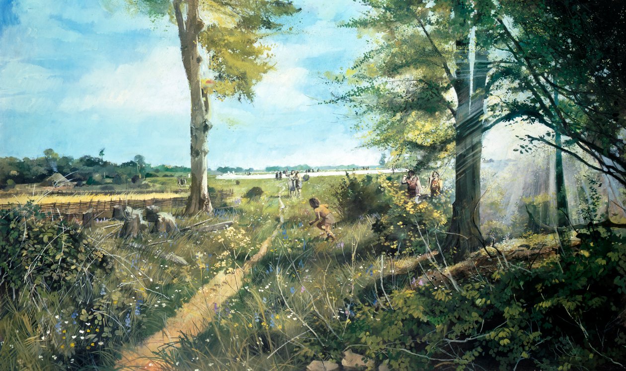 Paisaje de Stonehenge de Ivan Lapper