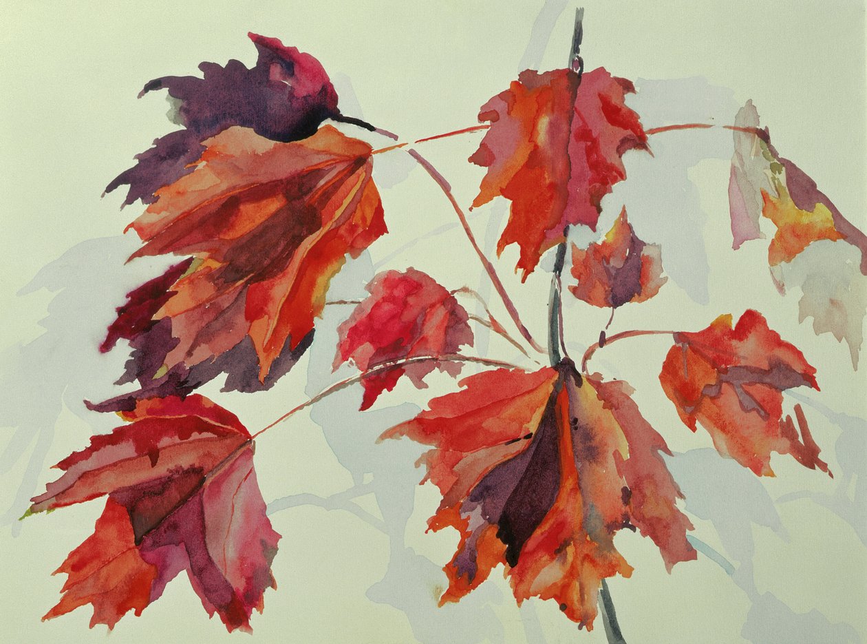 No.24 Hojas de arce en otoño de Izabella Godlewska de Aranda