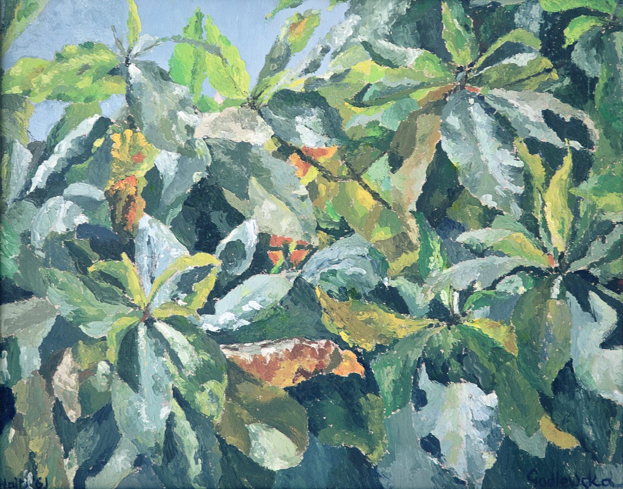 Plantas, 1961 de Izabella Godlewska de Aranda