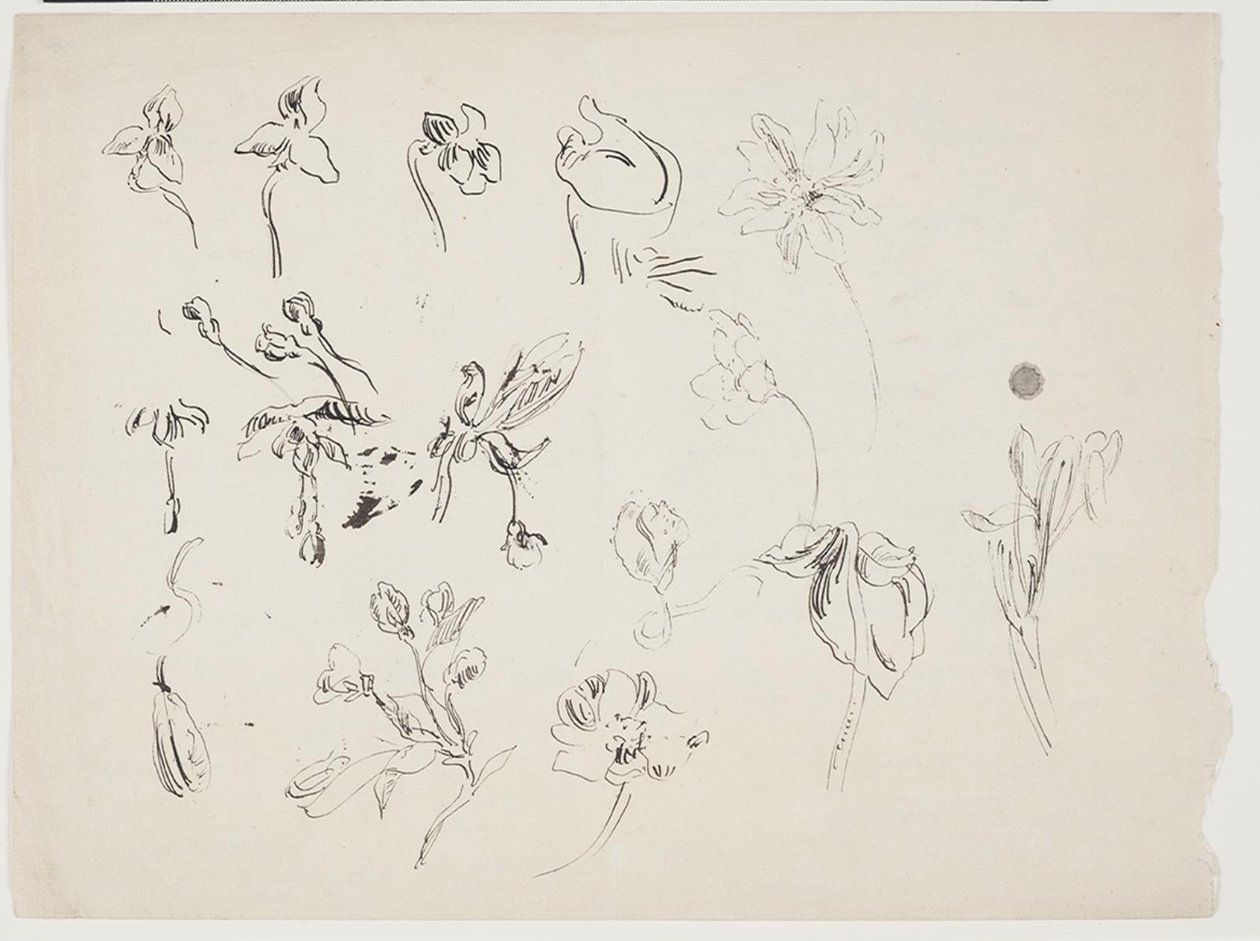 Bocetos de flores de J.A. Jerichau