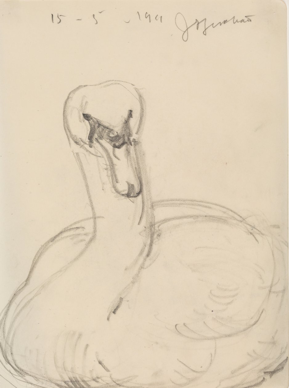 Cisne de J.A. Jerichau