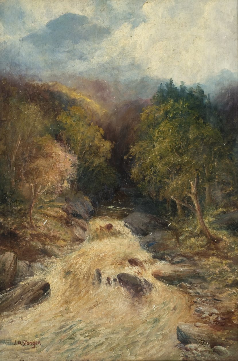 Un bosque de montaña de J.H. Stanger