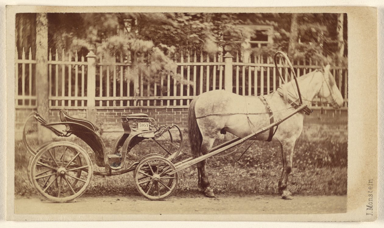 [Pequeño carruaje con caballo] de J. Monstein