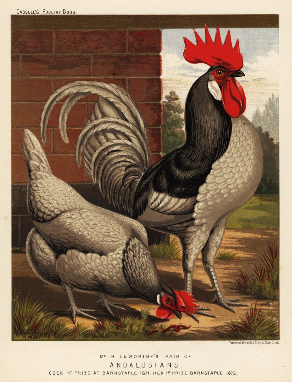 Pollos andaluces de J. W. (after) Ludlow